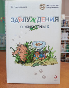 Фото: МБУК