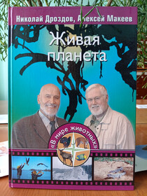 Дизайн обложки Е.А. Бессонова
